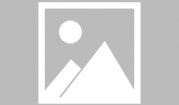 蛇的视频,视频揭秘蛇的神秘生活