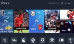 91看电视直播源解析,揭秘网络直播的奥秘